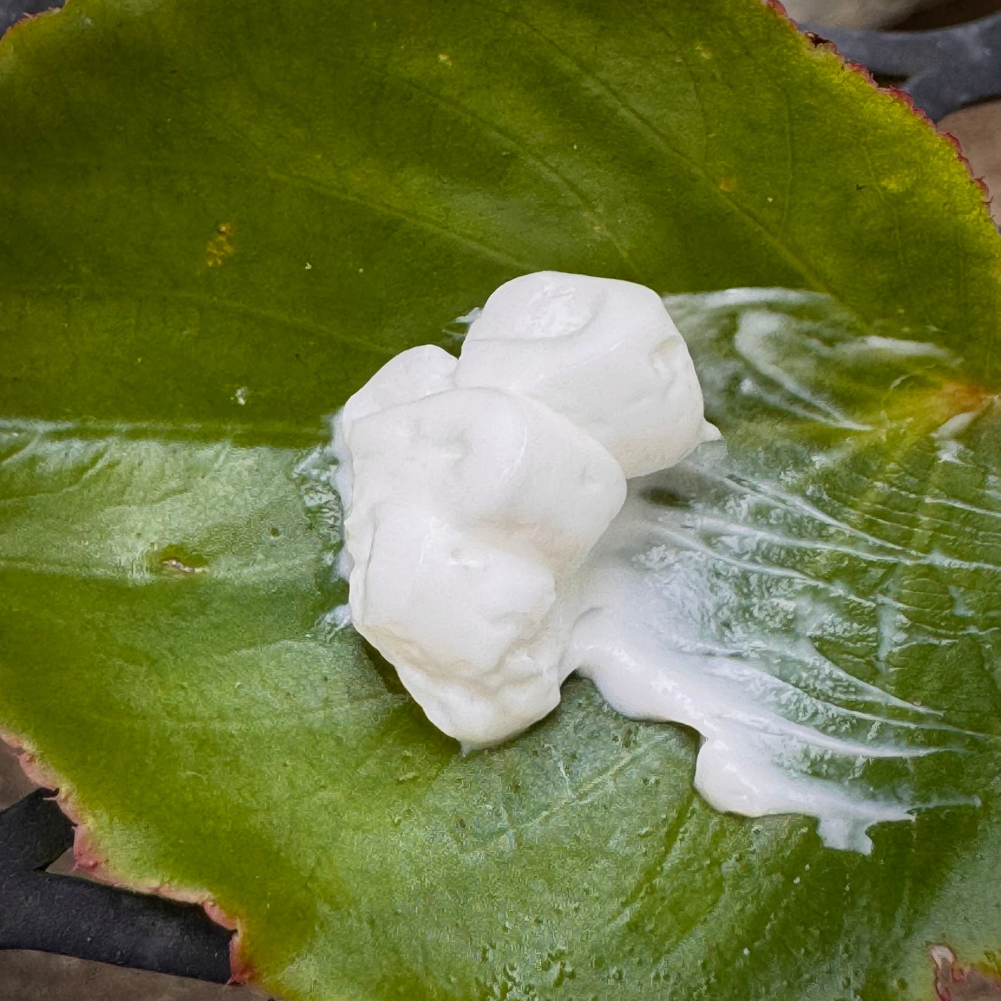 Apothecary Silken Skin Cream