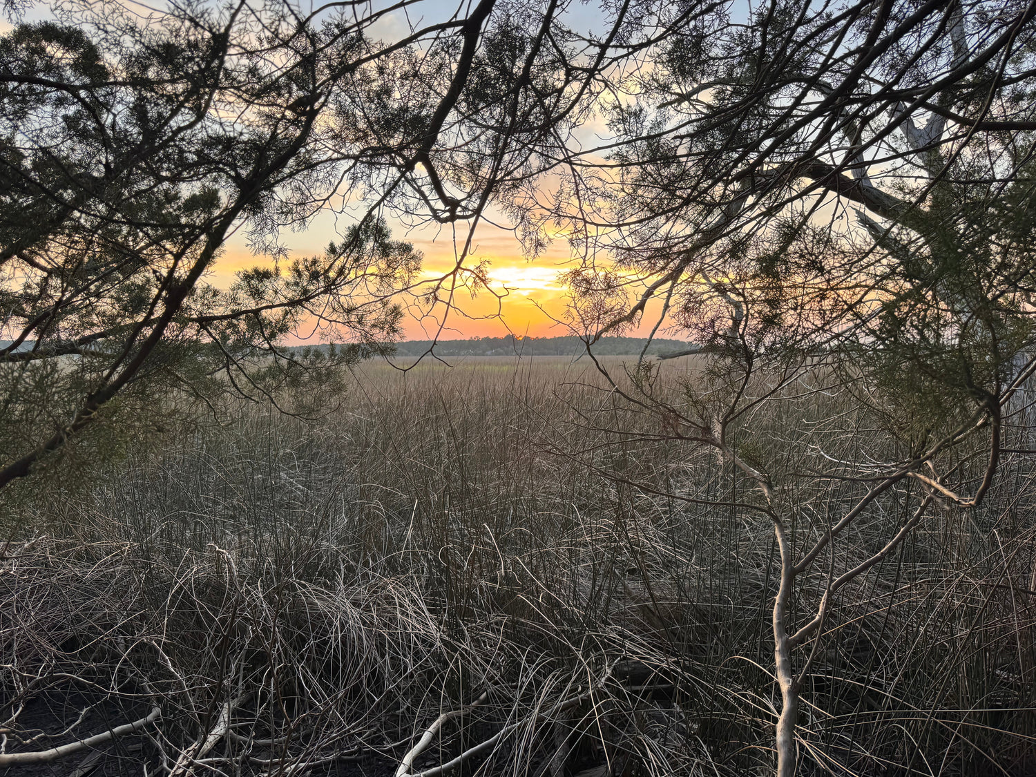 sunset over a salt marsh