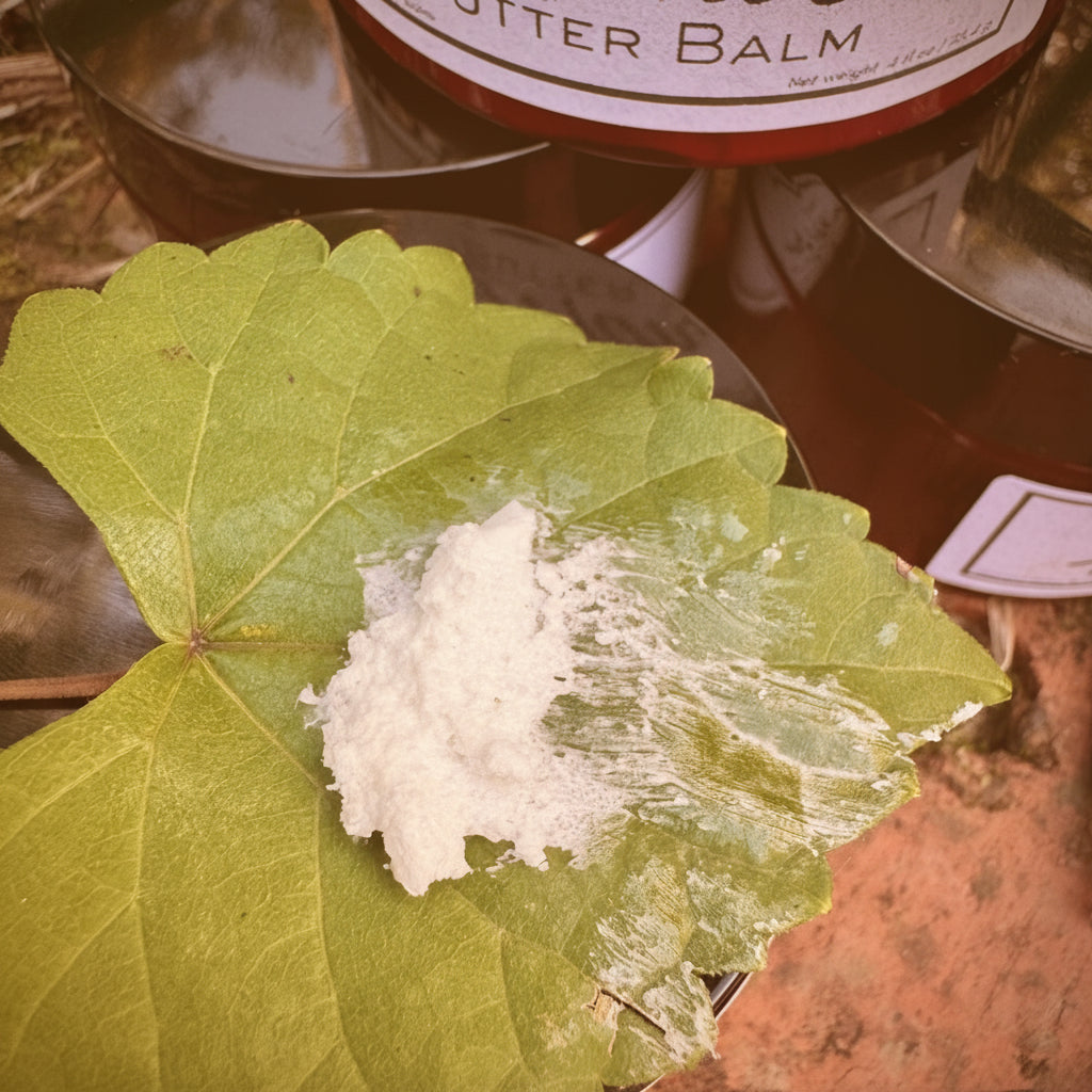 White substance on a green leaf with a jar labeled 'Butter Balm' in the background.