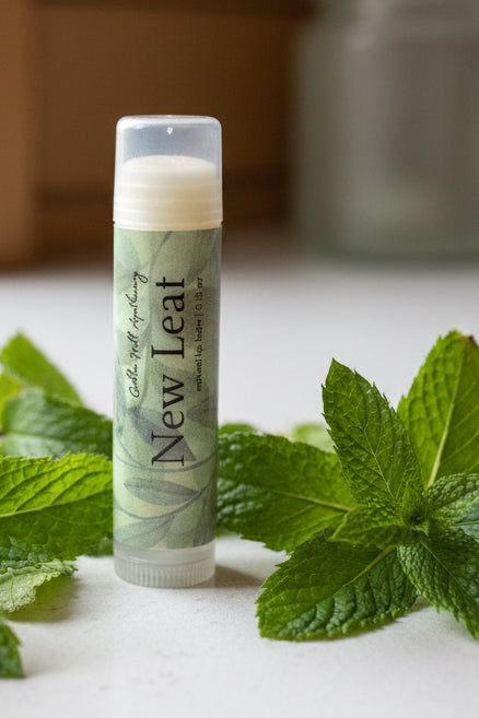 Lip balm stick surrounded by mint leaves 