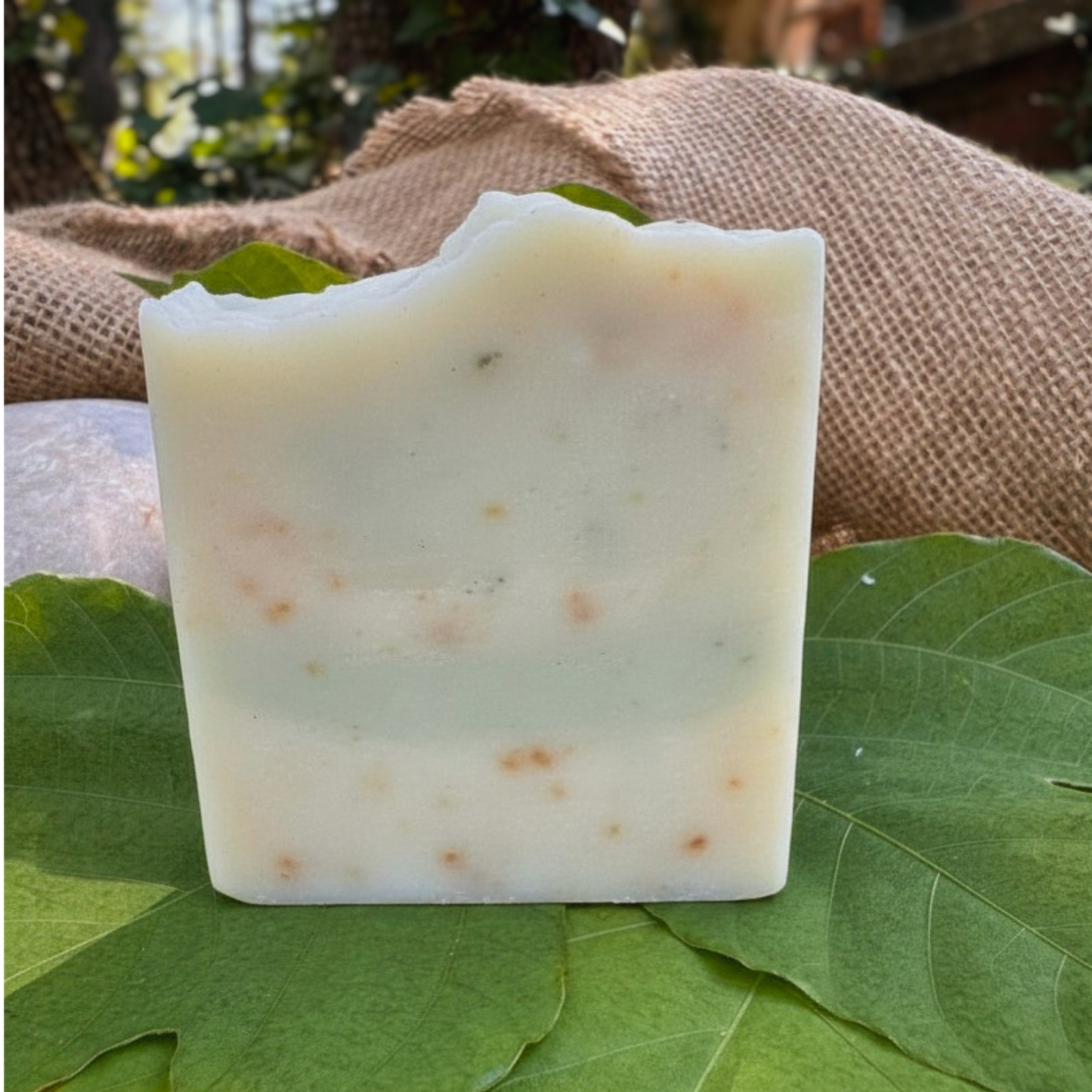 Bar of soap on a green leaf with a natural background