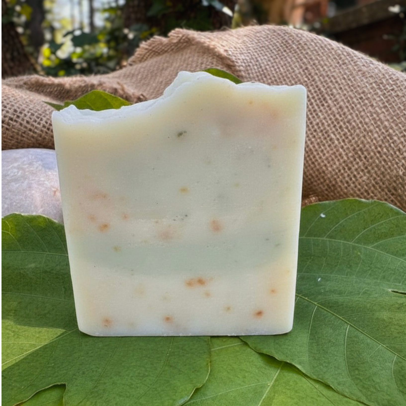 Bar of soap on a green leaf with a natural background